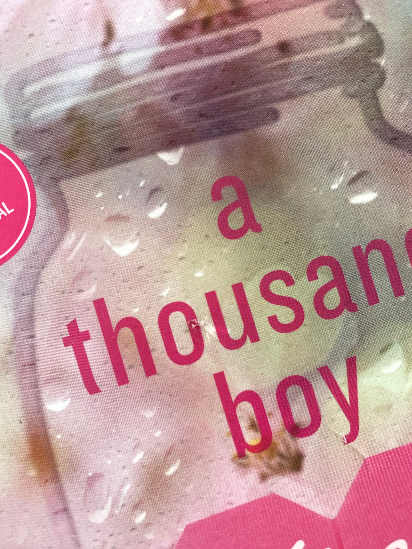 A Thousand Boy Kisses (#1)| Tillie Cole DAÑADO