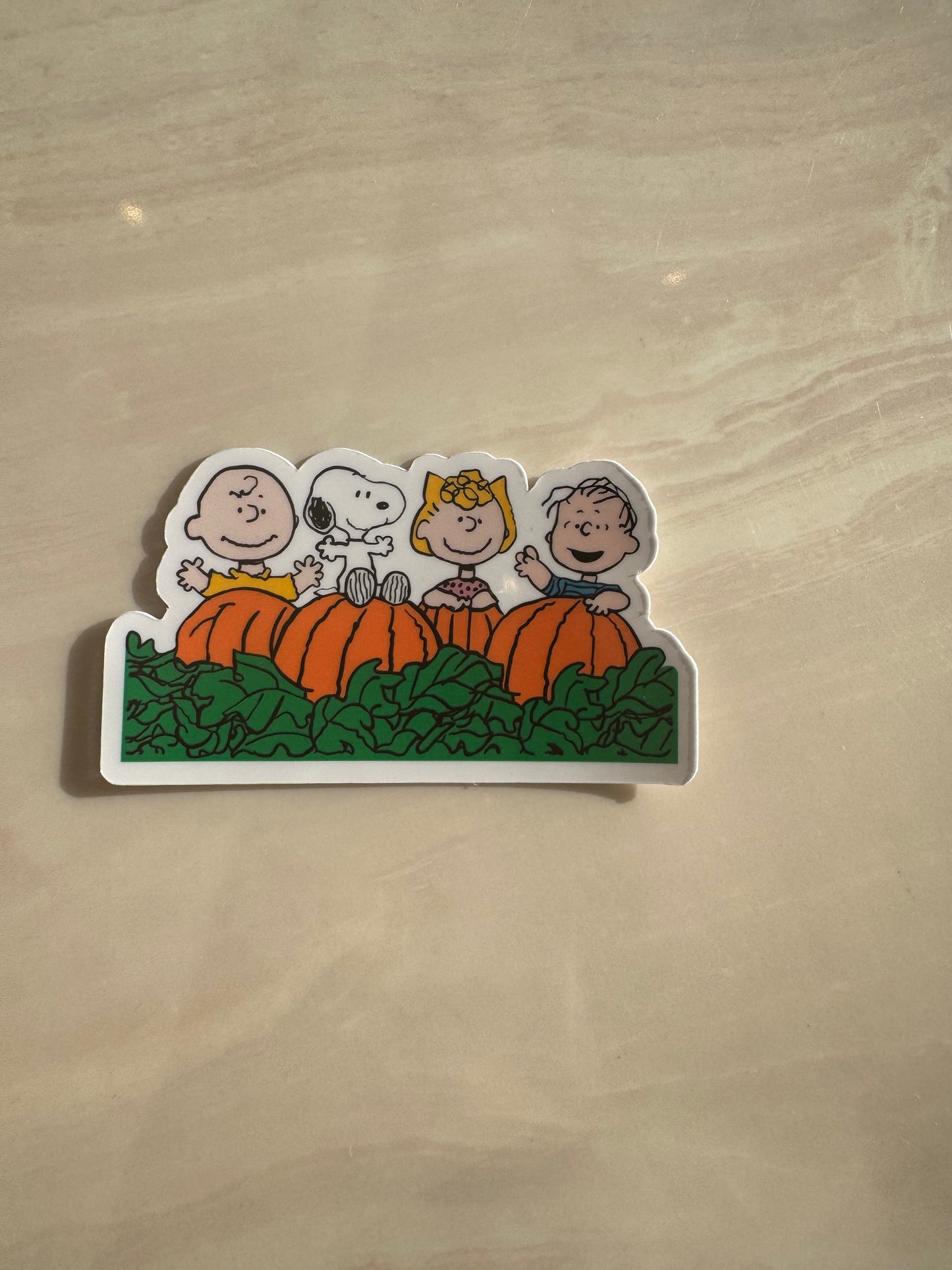PUMPKIN PATCH FRIENDS - STICKER WATERPROOF ( A PRUEBA DE AGUA)