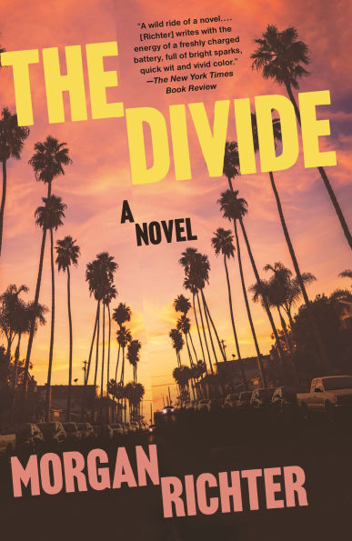 PRE-ORDEN- The Divide: A Novel by Morgan Richter TARDA DE 2-5 SEMANAS EN LLEGAR