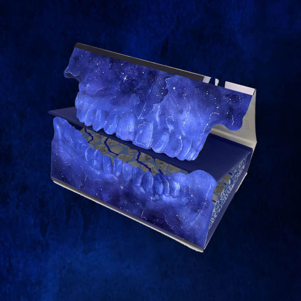 PRE-ORDEN- They Both Die at the End Collector's Deluxe Limited Edition by Adam Silvera TARDA DE 2-5 SEMANAS EN LLEGAR A PARTIR DEL 7 DE OCTUBRE