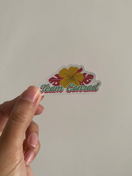 Sticker The Summer I Turned Pretty