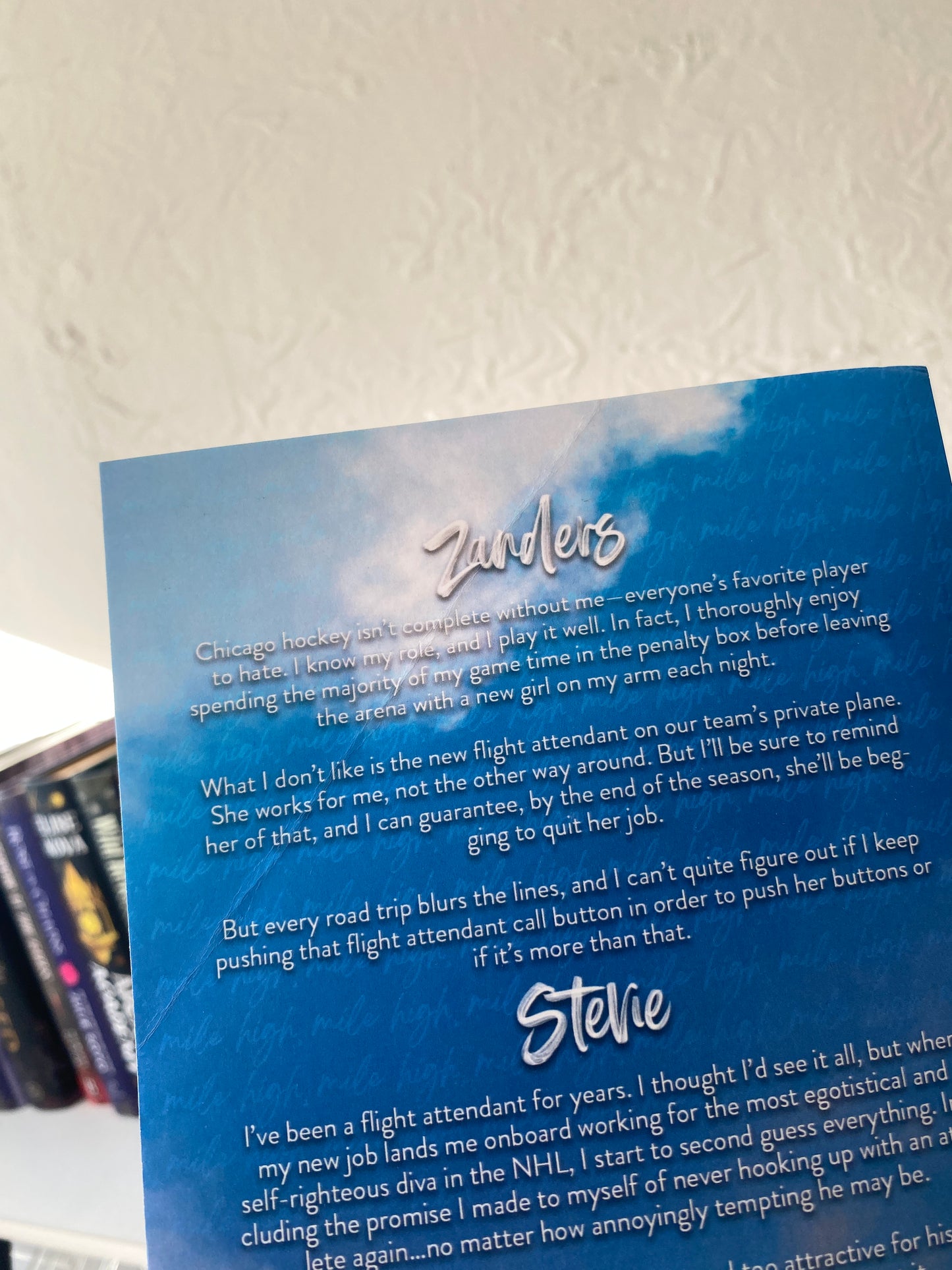 Mile High (Windy City #1) | Liz Tomforde DAÑADO