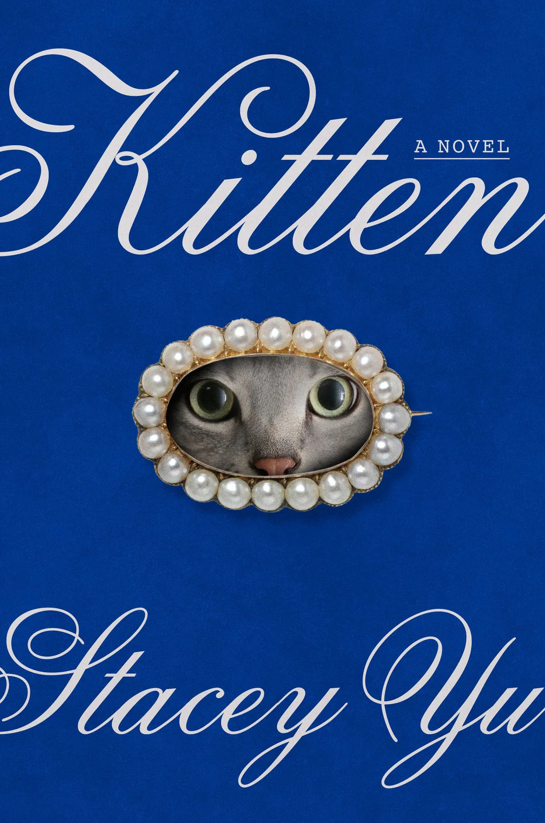 PRE-ORDEN- Kitten: A Novel By Stacey Yu TARDA DE 2-5 SEMANAS EN LLEGAR