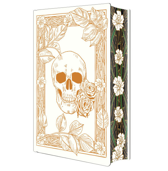 PRE-ORDEN- Rain of Shadows and Endings: Deluxe Special Edition by Melissa K. Roehrich TARDA DE 2-5 SEMANAS EN LLEGAR A PARTIR DEL 31 DE MARZO