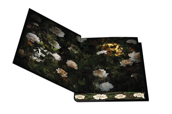 PRE-ORDEN- Rain of Shadows and Endings: Deluxe Special Edition by Melissa K. Roehrich TARDA DE 2-5 SEMANAS EN LLEGAR A PARTIR DEL 31 DE MARZO