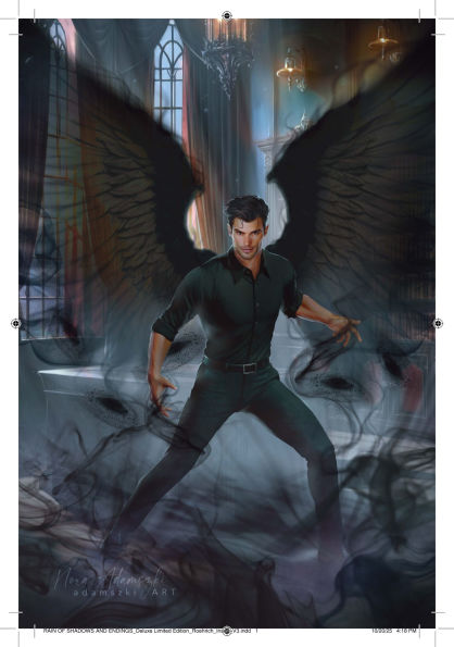 PRE-ORDEN- Rain of Shadows and Endings: Deluxe Special Edition by Melissa K. Roehrich TARDA DE 2-5 SEMANAS EN LLEGAR A PARTIR DEL 31 DE MARZO