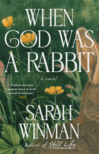 PRE-ORDEN- When God Was a Rabbit by Sarah Winman TARDA DE 2-5 SEMANAS EN LLEGAR