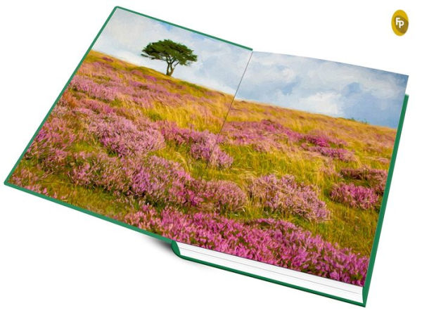 PRE-ORDEN- Wuthering Heights (Deluxe Hardbound Edition) TARDA DE 2-5 SEMANAS EN LLEGAR